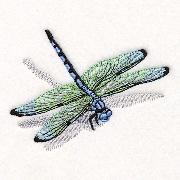 Nature's Simple Dragonfly - Image 5