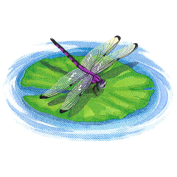 Nature's Walk Dragonfly - Image 9