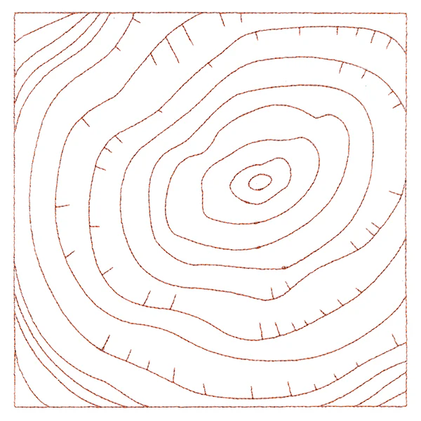 Nature's Wonders - Tree Rings (Double Run) - Image 2