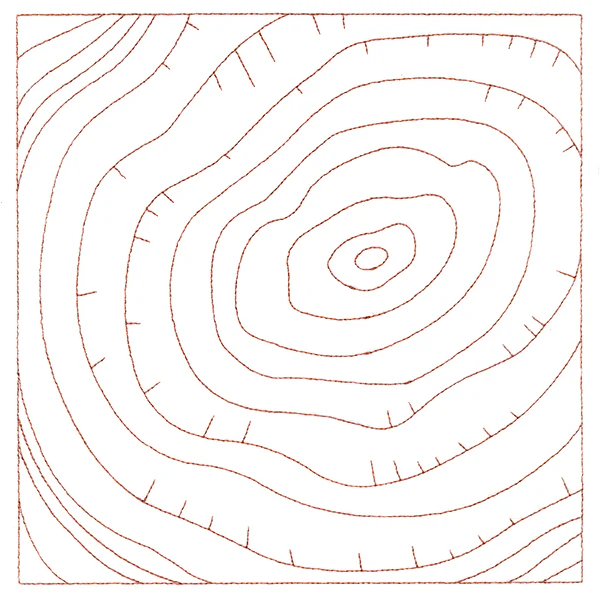 Nature's Wonders - Tree Rings (Double Run) - Image 6