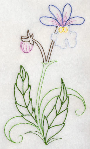 Nemesia (Vintage) - Image 3