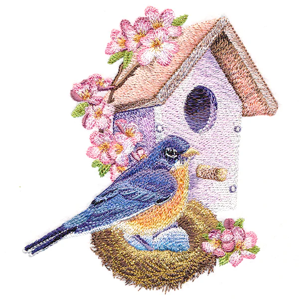 Nesting Bluebird in Spring - Image 5
