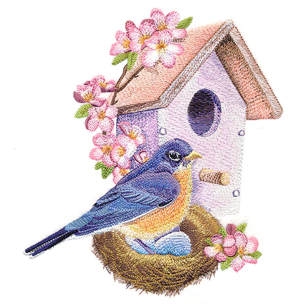 Nesting Bluebird in Spring - Image 7