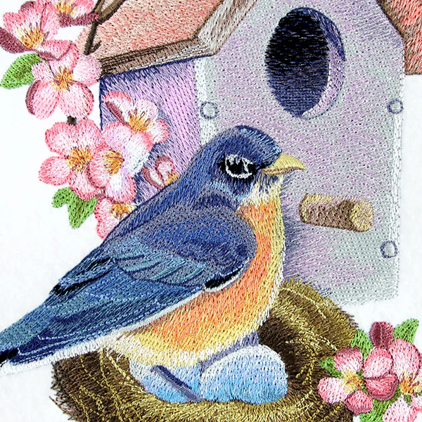 Nesting Bluebird in Spring - Image 8