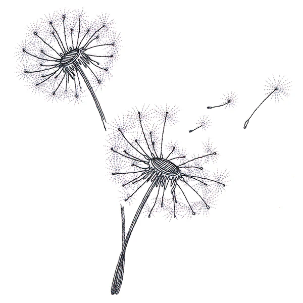 Never Stop Wishing Bouquet - Image 2