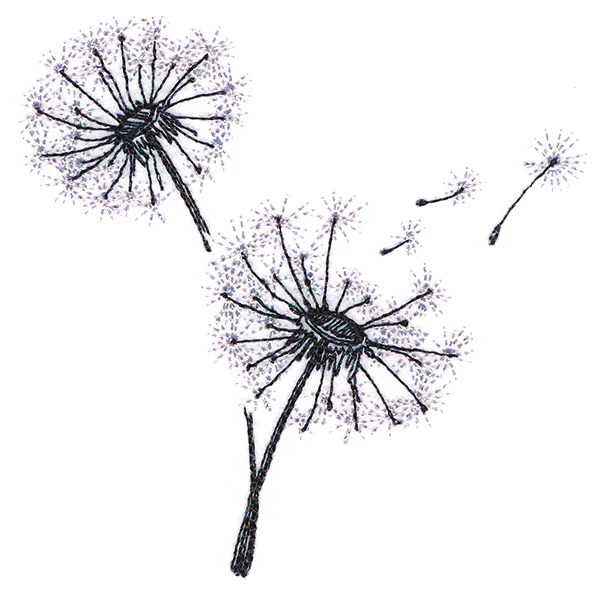 Never Stop Wishing Bouquet - Image 5
