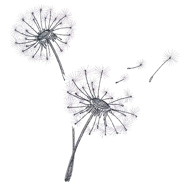Never Stop Wishing Bouquet - Image 6
