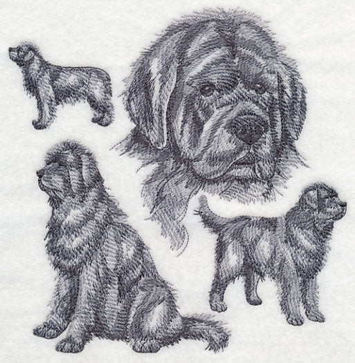 Newfoundland Sketch - Image 2