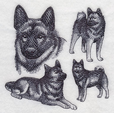 Norwegian Elkhound Sketch - Image 4