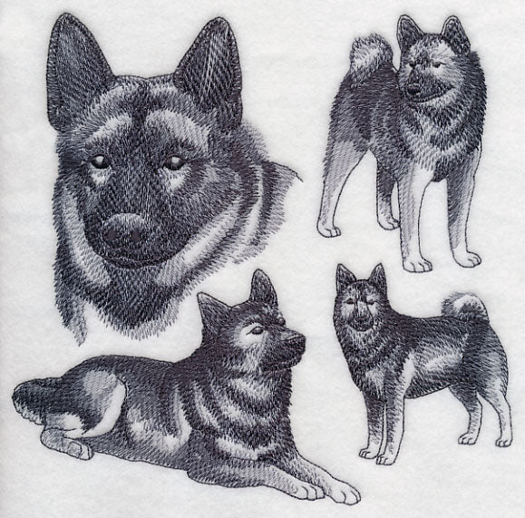 Norwegian Elkhound Sketch - Image 5