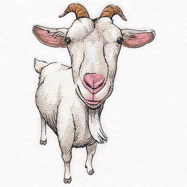 Nosey Goat - Image 3