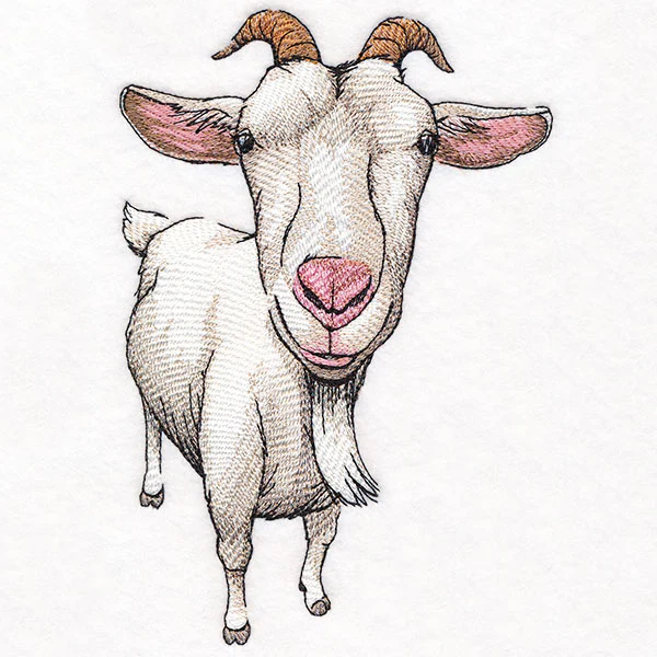 Nosey Goat - Image 4