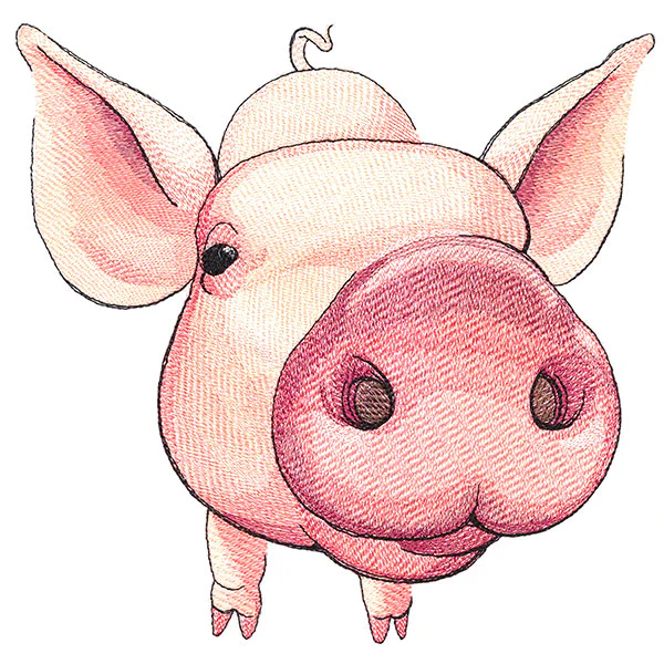 Nosey Pig - Image 11
