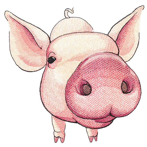 Nosey Pig - Image 3