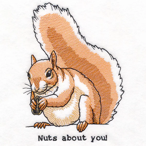 Nuts About You Squirrel - Image 3