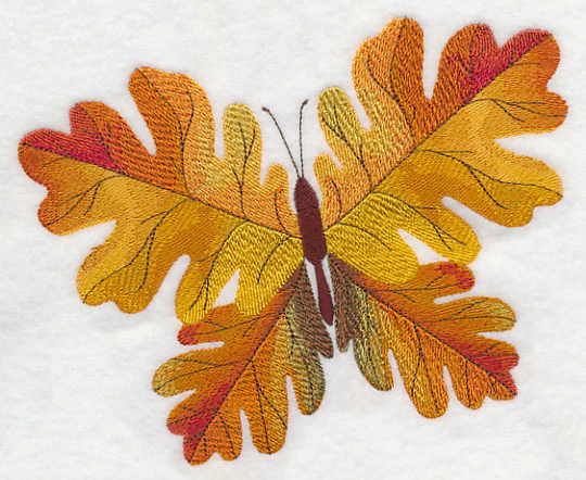 Oak Leaf Butterfly - Image 2