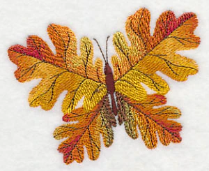 Oak Leaf Butterfly - Image 4
