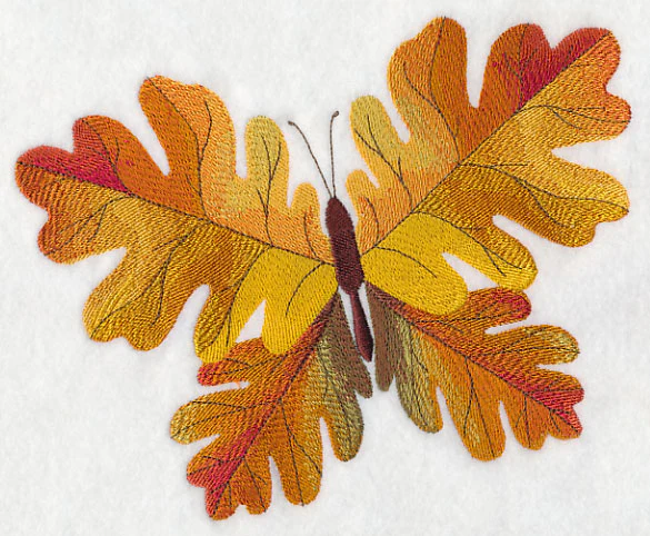 Oak Leaf Butterfly - Image 5