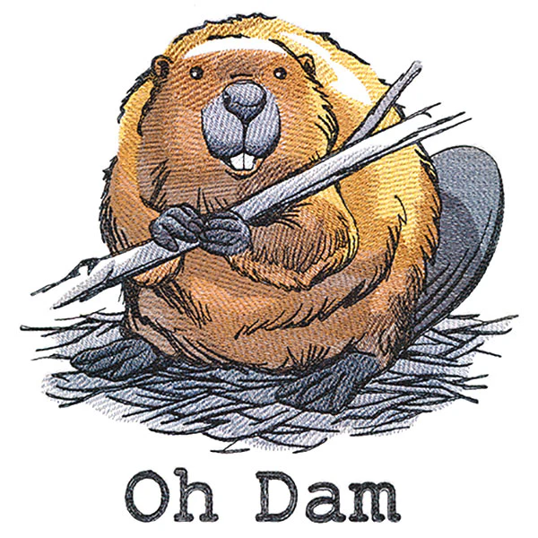 Oh Dam - Image 5