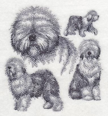 Old English Sheepdog Sketch - Image 3
