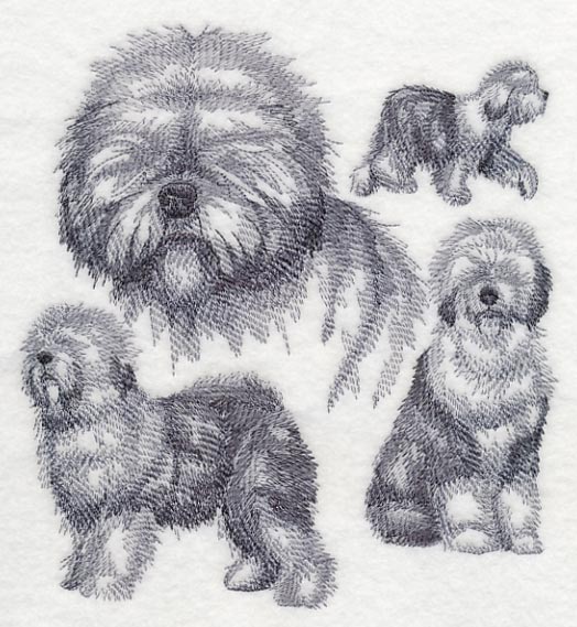 Old English Sheepdog Sketch - Image 4