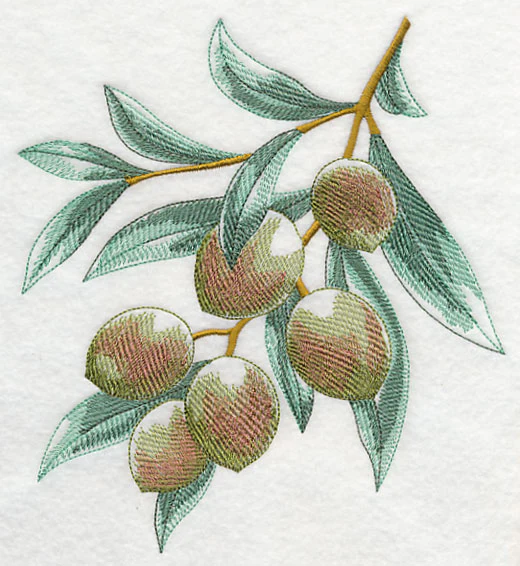 Olives Sketch - Image 5