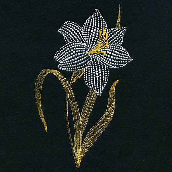 On Point Lily - Image 9