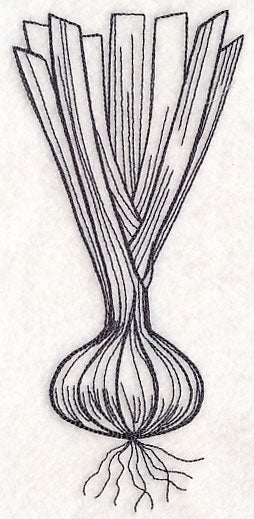 Onion Etching - Image 3