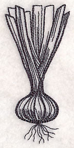 Onion Etching - Image 5