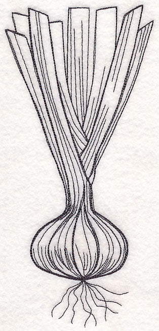 Onion Etching - Image 6