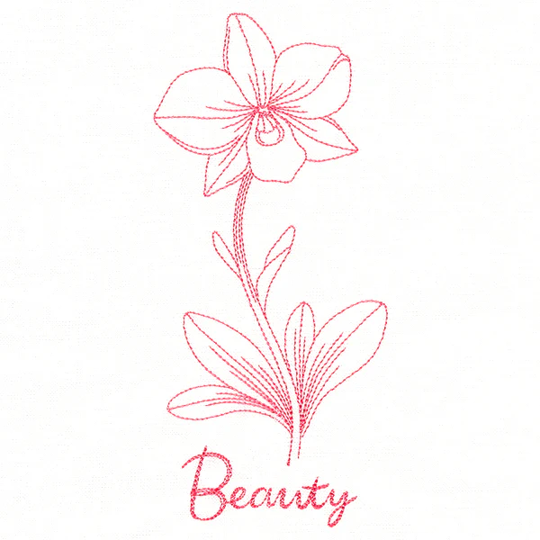 Orchids of Beauty (Vintage) - Image 3
