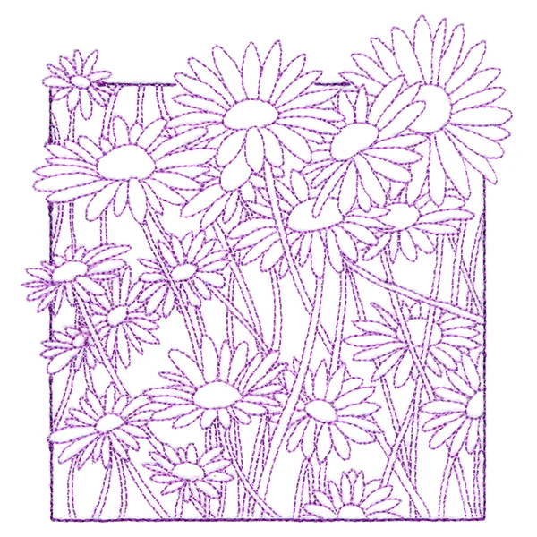 Outside the Box Blooms - Daisies - Image 4