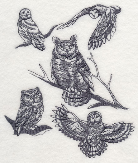 Owl Wisdom - Image 2