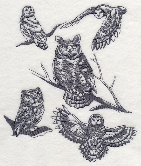 Owl Wisdom - Image 4