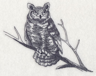 Owl Wisdom - Great Horned Owl - Image 3