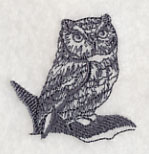 Owl Wisdom - Screech Owl - Image 2