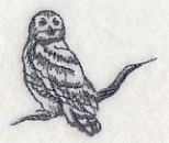 Owl Wisdom - Snowy Owl - Image 2