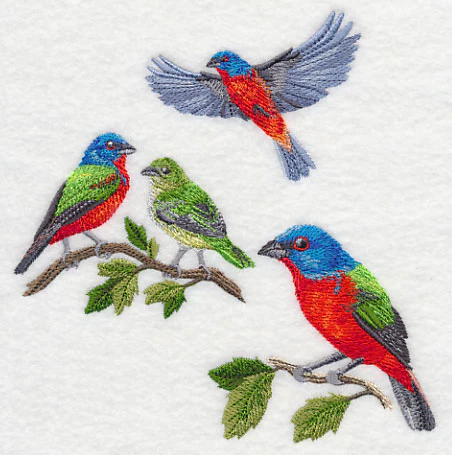 Painted Bunting Collage - Image 4