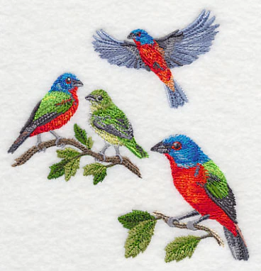 Painted Bunting Collage - Image 5
