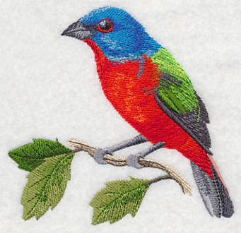 Painted Bunting on a Branch - Image 3