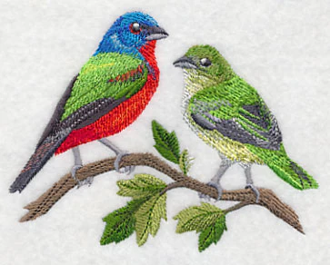 Painted Bunting Pair