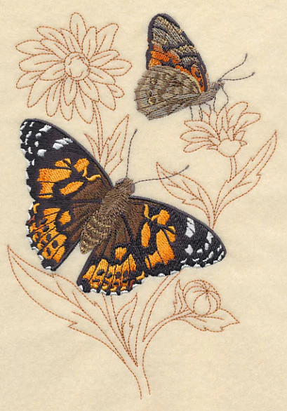Painted Lady on Delicate Flower - Image 3