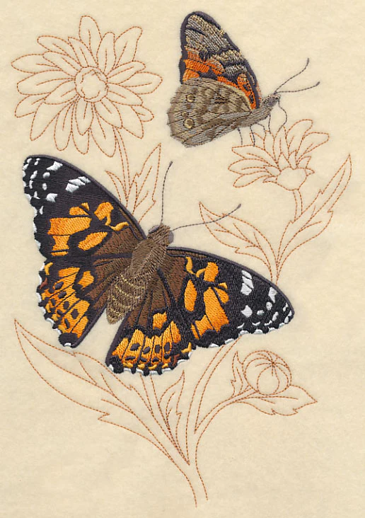Painted Lady on Delicate Flower - Image 5