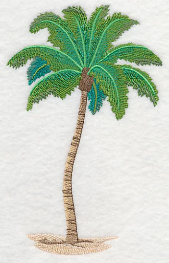 Palm Tree Oasis - Image 4