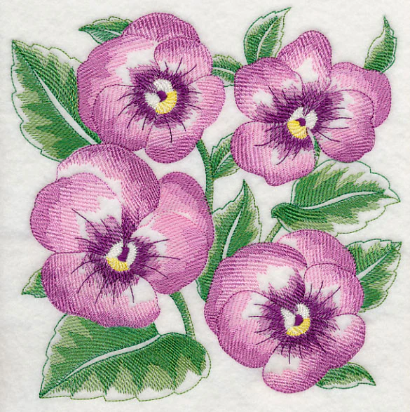 Pansy Sketch