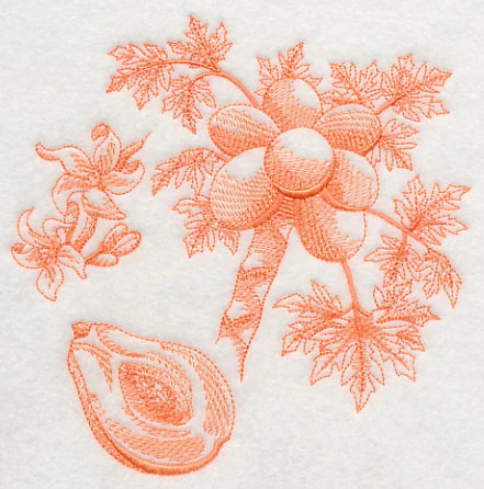 Papaya Botanical (Toile) - Image 3