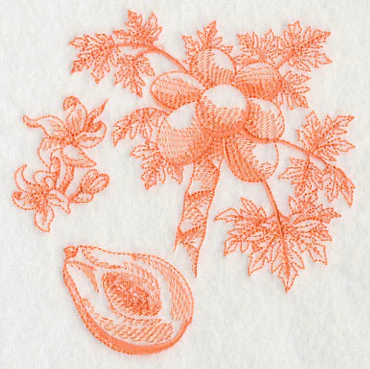 Papaya Botanical (Toile) - Image 4