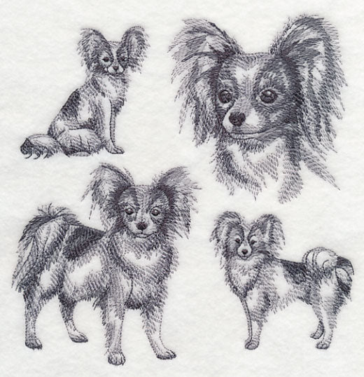 Papillon Sketch - Image 2