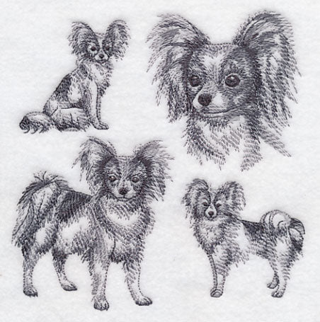 Papillon Sketch - Image 3