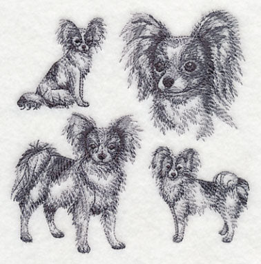 Papillon Sketch - Image 4